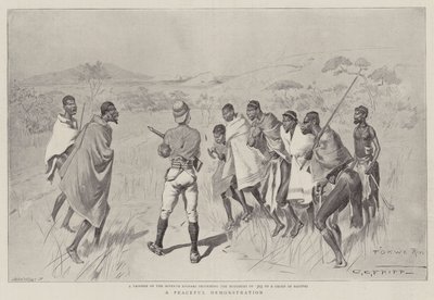 A Peaceful Demonstration by Charles Edwin Fripp